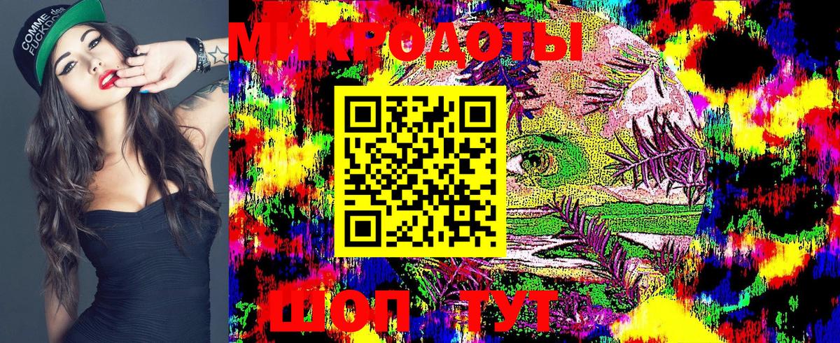Галлюциногенные грибы Psilocybe Соль-Илецк