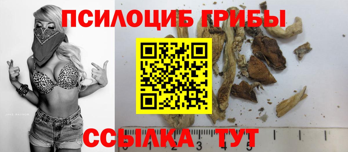 Соль-Илецк  Галлюциногенные грибы Magic Shrooms  Вход с VPN 