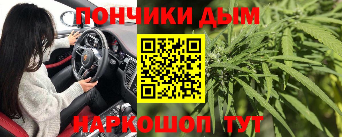 Канабис семена Соль-Илецк